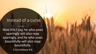 Instead of a curse
Now this I say, he who sows
sparingly will also reap
sparingly, and he who sows
bountifully will also reap
bountifully.
2 Corinthians 9:6
 