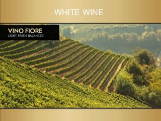 WHITE WINE
 