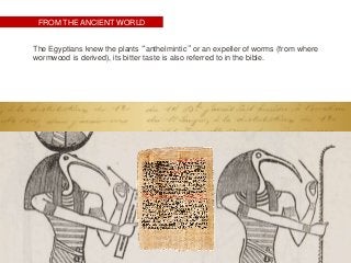 FROM THE ANCIENT WORLD
The Egyptians knew the plants “anthelmintic” or an expeller of worms (from where
wormwood is derived), its bitter taste is also referred to in the bible.
 