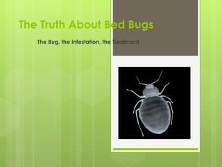 The Truth About Bed Bugs
   The Bug, the Infestation, the Treatment
 
