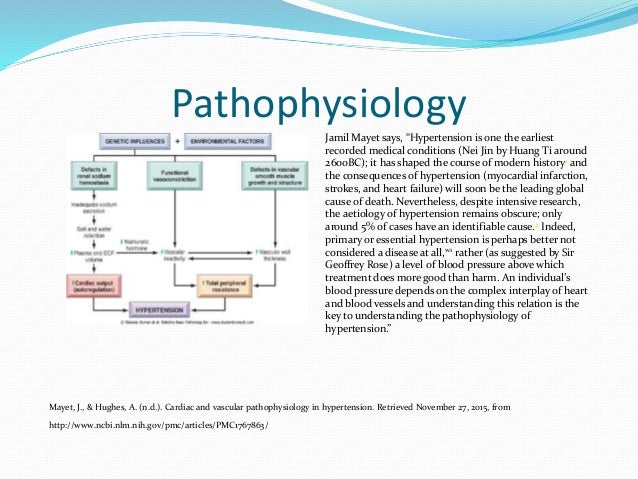 pathophysiology of hypertension