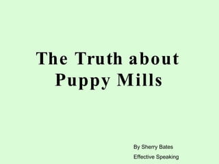 The Truth about
  Puppy Mills


          By Sherry Bates
          Effective Speaking
 