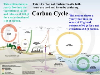 Carbon Cycle This section shows a
yearly flow into the
ocean of 92 gt and
releases of 90 gt for a net
reduction of 2 gt carbon.
This section shows a
yearly flow into the
vegetation of 121 gt
and releases of 120 gt
for a net reduction of
1 gt of carbon.
This is Carbon not Carbon Dioxide both
terms are used and it can be confusing.
 