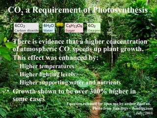 CO2 a Requirement of Photosynthesis
• There is evidence that a higher concentration
of atmospheric CO2 speeds up plant growth.
This effect was enhanced by:
– Higher temperatures
– Higher lighting levels
– Higher supporting water and nutrients
• Growth shown to be over 300% higher in
some cases
Equation released for open use by author ZooFan.
Photo from Dan Digs – dandigs.com
July, 2011
 