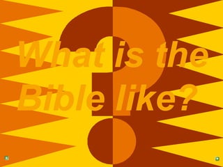 What is the Bible like?   