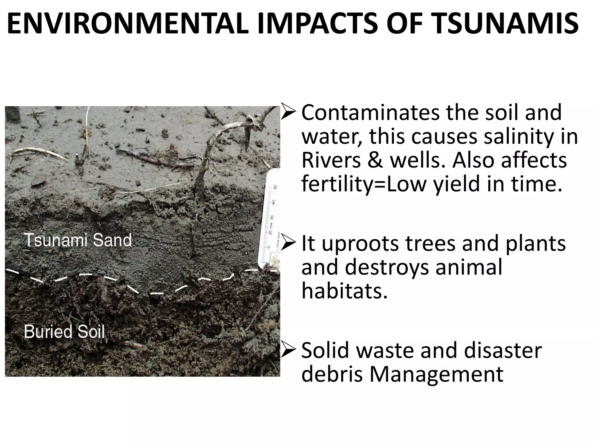 What is tsunami and its causes and effects