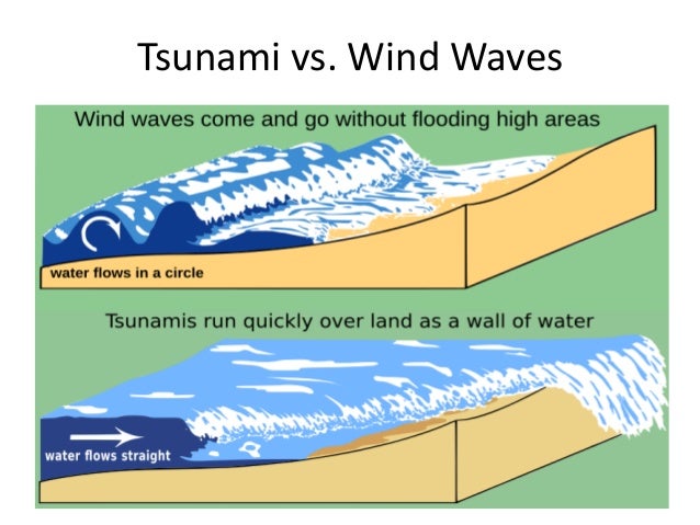 Tidal wave vs tsunami