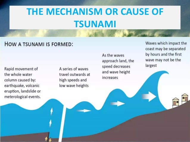 What is tsunami and its causes and effects