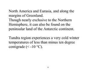 20
North America and Eurasia, and along the
margins of Greenland.
Though nearly exclusive to the Northern
Hemisphere, it can also be found on the
peninsular land of the Antarctic continent.
Tundra region experiences a very cold winter
temperatures of less than minus ten degree
centigrade (< -10 °C).
 