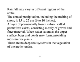 27
Rainfall may vary in different regions of the
arctic.
The annual precipitation, including the melting of
snow, is 15 to 25 cm (6 to 10 inches).
A layer of permanently frozen subsoil called
permafrost exists, consisting mostly of gravel and
finer material. When water saturates the upper
surface, bogs and ponds may form, providing
moisture for plants.
There are no deep root systems in the vegetation
of the arctic tundra.
 