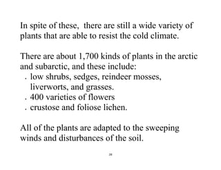 28
In spite of these, there are still a wide variety of
plants that are able to resist the cold climate.
There are about 1,700 kinds of plants in the arctic
and subarctic, and these include:
 low shrubs, sedges, reindeer mosses,
liverworts, and grasses.
 400 varieties of flowers
 crustose and foliose lichen.
All of the plants are adapted to the sweeping
winds and disturbances of the soil.
 