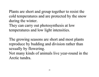 29
Plants are short and group together to resist the
cold temperatures and are protected by the snow
during the winter.
They can carry out photosynthesis at low
temperatures and low light intensities.
The growing seasons are short and most plants
reproduce by budding and division rather than
sexually by flowering.
Not many kinds of animals live year-round in the
Arctic tundra.
 