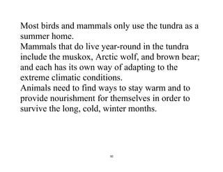 30
Most birds and mammals only use the tundra as a
summer home.
Mammals that do live year-round in the tundra
include the muskox, Arctic wolf, and brown bear;
and each has its own way of adapting to the
extreme climatic conditions.
Animals need to find ways to stay warm and to
provide nourishment for themselves in order to
survive the long, cold, winter months.
 