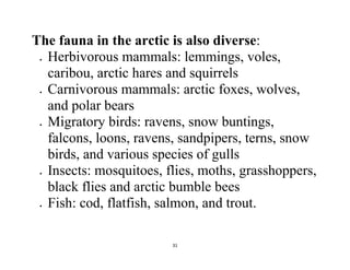 31
The fauna in the arctic is also diverse:
 Herbivorous mammals: lemmings, voles,
caribou, arctic hares and squirrels
 Carnivorous mammals: arctic foxes, wolves,
and polar bears
 Migratory birds: ravens, snow buntings,
falcons, loons, ravens, sandpipers, terns, snow
birds, and various species of gulls
 Insects: mosquitoes, flies, moths, grasshoppers,
black flies and arctic bumble bees
 Fish: cod, flatfish, salmon, and trout.
 