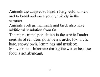 32
Animals are adapted to handle long, cold winters
and to breed and raise young quickly in the
summer.
Animals such as mammals and birds also have
additional insulation from fat.
The main animal population in the Arctic Tundra
consists of reindeer, polar bears, arctic fox, arctic
hare, snowy owls, lemmings and musk ox.
Many animals hibernate during the winter because
food is not abundant.
 