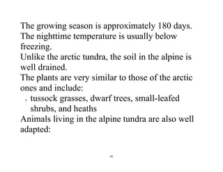 41
The growing season is approximately 180 days.
The nighttime temperature is usually below
freezing.
Unlike the arctic tundra, the soil in the alpine is
well drained.
The plants are very similar to those of the arctic
ones and include:
 tussock grasses, dwarf trees, small-leafed
shrubs, and heaths
Animals living in the alpine tundra are also well
adapted:
 