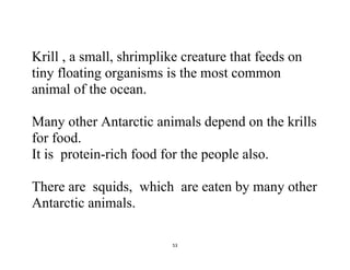 53
Krill , a small, shrimplike creature that feeds on
tiny floating organisms is the most common
animal of the ocean.
Many other Antarctic animals depend on the krills
for food.
It is protein-rich food for the people also.
There are squids, which are eaten by many other
Antarctic animals.
 