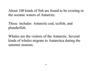 54
About 100 kinds of fish are found to be existing in
the oceanic waters of Antarctic.
These includes Antarctic cod, icefish, and
plunderfish.
Whales are the visitors of the Antarctic. Several
kinds of whales migrate to Antarctica during the
summer seasons.
 