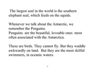 57
The largest seal in the world is the southern
elephant seal, which feeds on the squids.
Whenever we talk about the Antarctic, we
remember the Penguins.
Penguins are the beautiful, loveable ones most
often associated with the Antarctica.
These are birds. They cannot fly. But they waddle
awkwardly on land. But they are the most skilful
swimmers, in oceanic waters.
 
