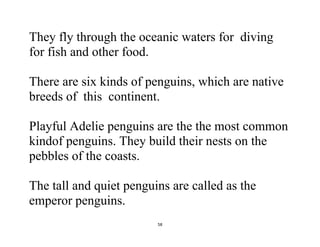 58
They fly through the oceanic waters for diving
for fish and other food.
There are six kinds of penguins, which are native
breeds of this continent.
Playful Adelie penguins are the the most common
kindof penguins. They build their nests on the
pebbles of the coasts.
The tall and quiet penguins are called as the
emperor penguins.
 