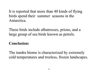 60
It is reported that more than 40 kinds of flying
birds spend their summer seasons in the
Antarctica.
These birds include albatrosses, prions, and a
large group of sea birds known as petrels.
Conclusion:
The tundra biome is characterized by extremely
cold temperatures and treeless, frozen landscapes.
 