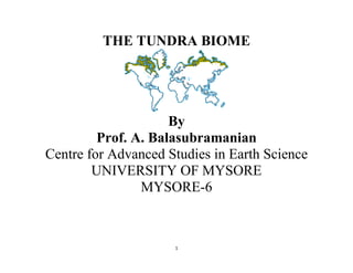 1
THE TUNDRA BIOME
By
Prof. A. Balasubramanian
Centre for Advanced Studies in Earth Science
UNIVERSITY OF MYSORE
MYSORE-6
 