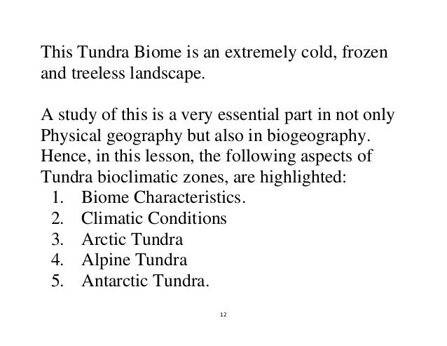 tundra characteristic