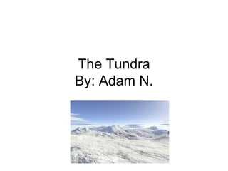 The Tundra By: Adam N. 