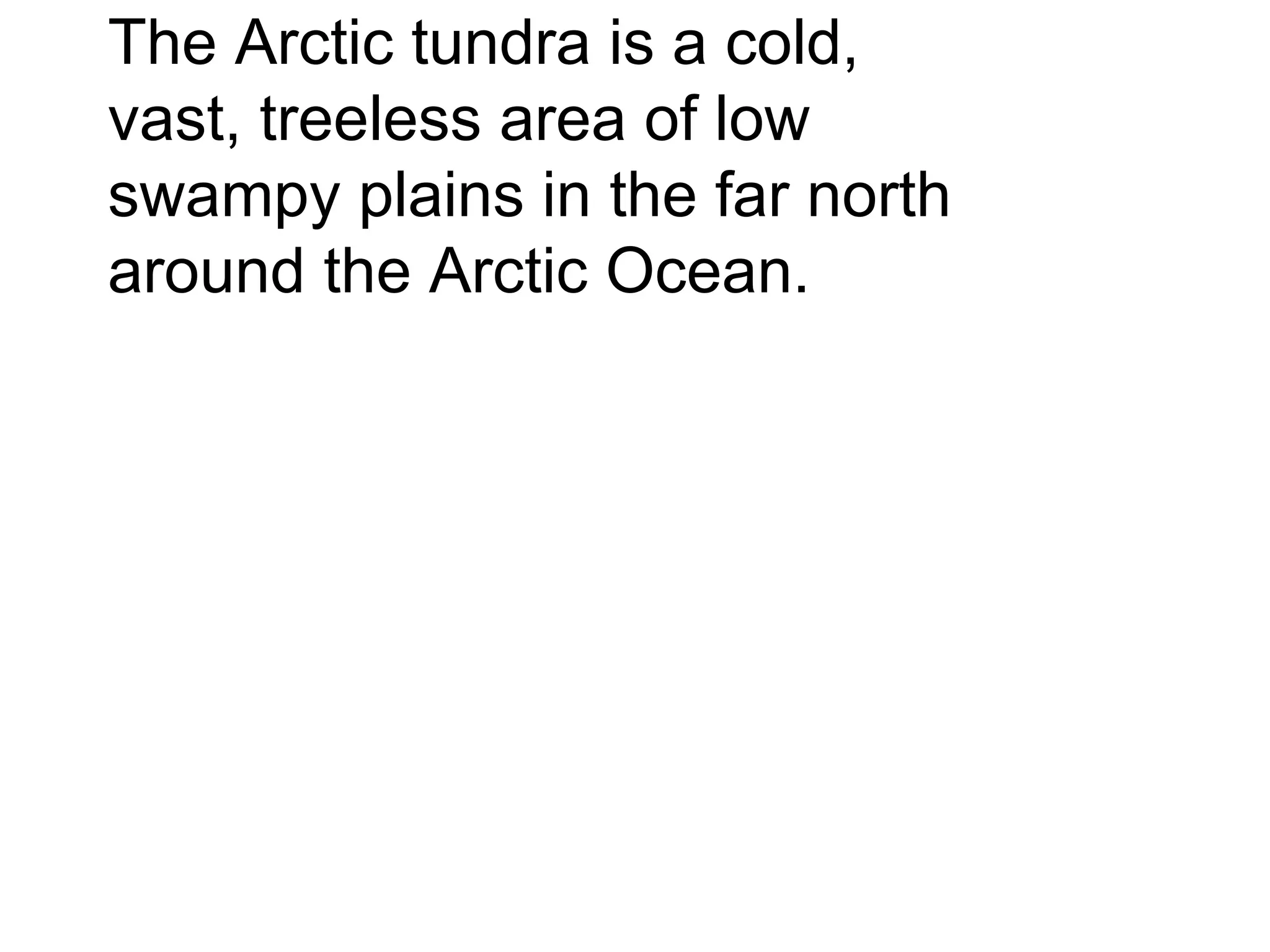 The Arctic tundra is a cold, vast, treeless area of low swampy plains in the far north around the Arctic Ocean.  