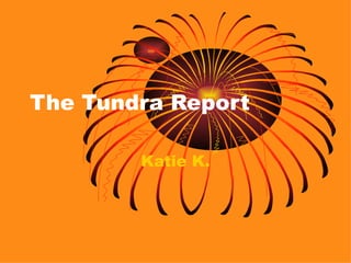 The Tundra Report Katie K. 