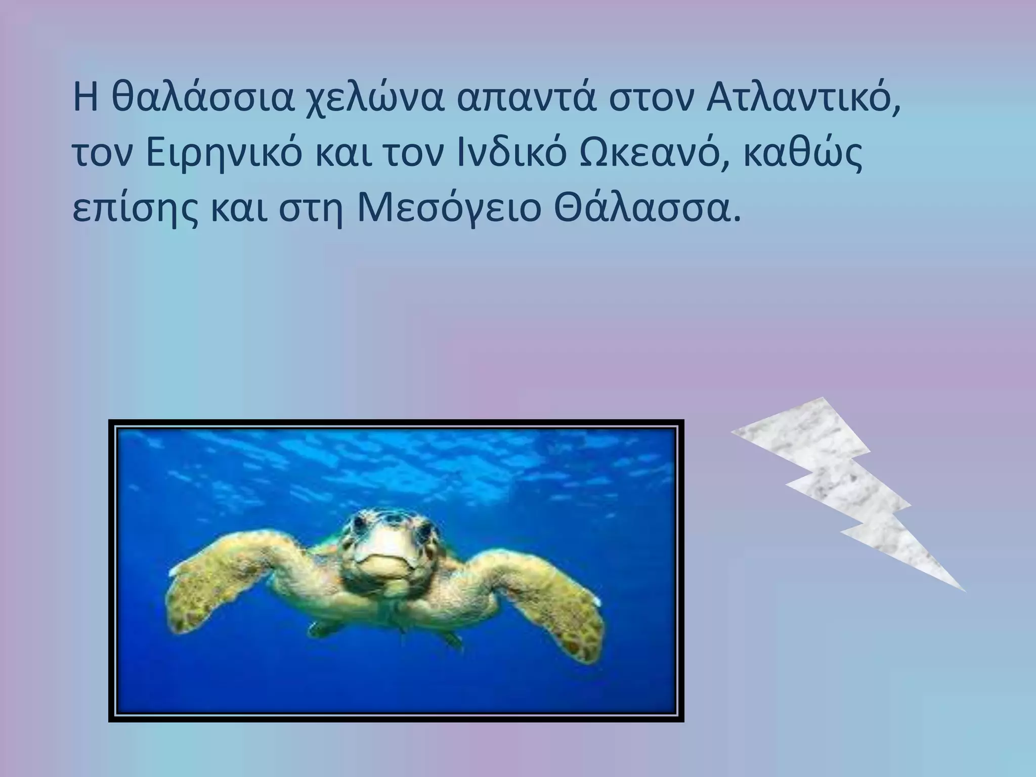 Η θαλάσσια χελώνα απαντά στον Ατλαντικό,
τον Ειρηνικό και τον Ινδικό Ωκεανό, καθώς
επίσης και στη Μεσόγειο Θάλασσα.
 