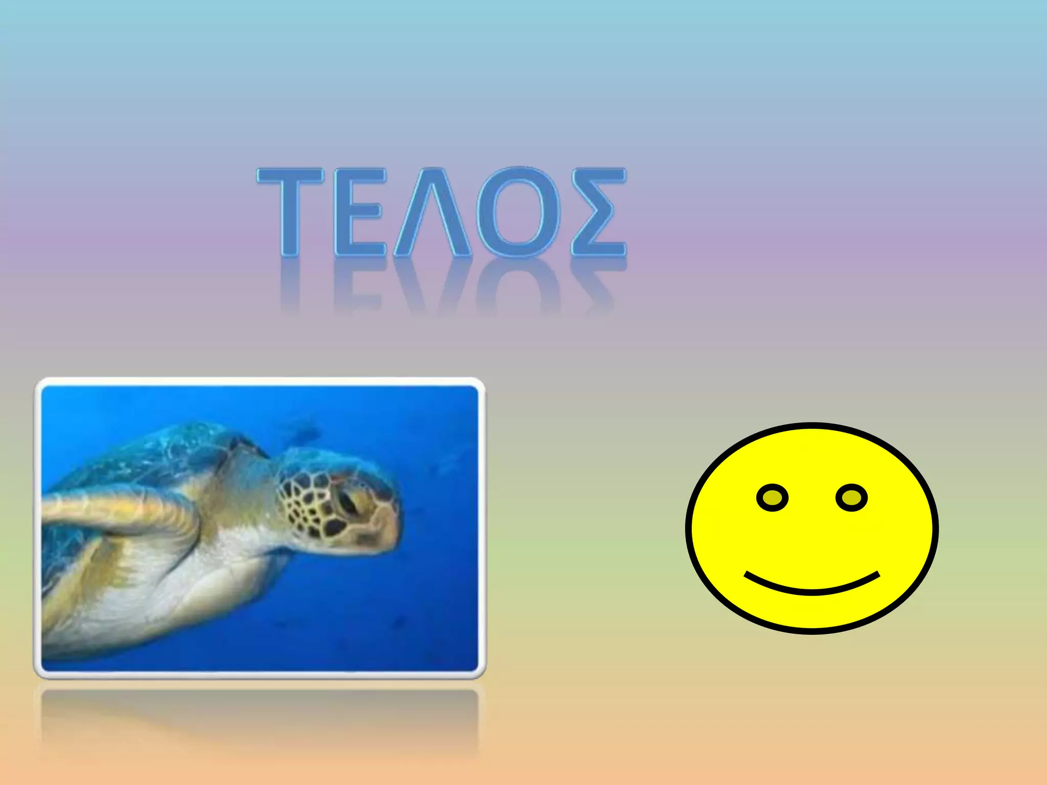 The turtle kareta kareta