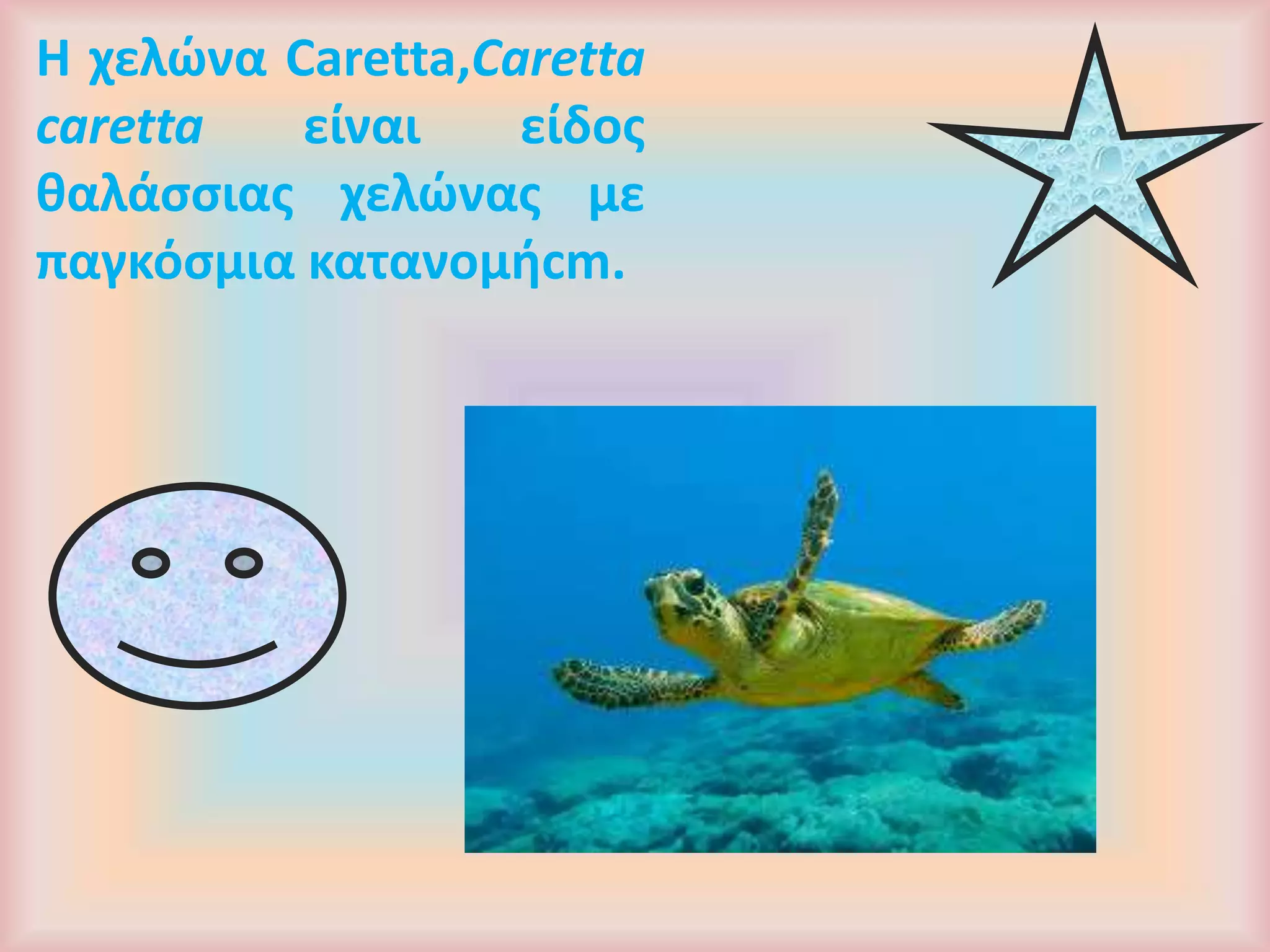 Η χελώνα Caretta,Caretta
caretta είναι είδος
θαλάσσιας χελώνας με
παγκόσμια κατανομήcm.
 