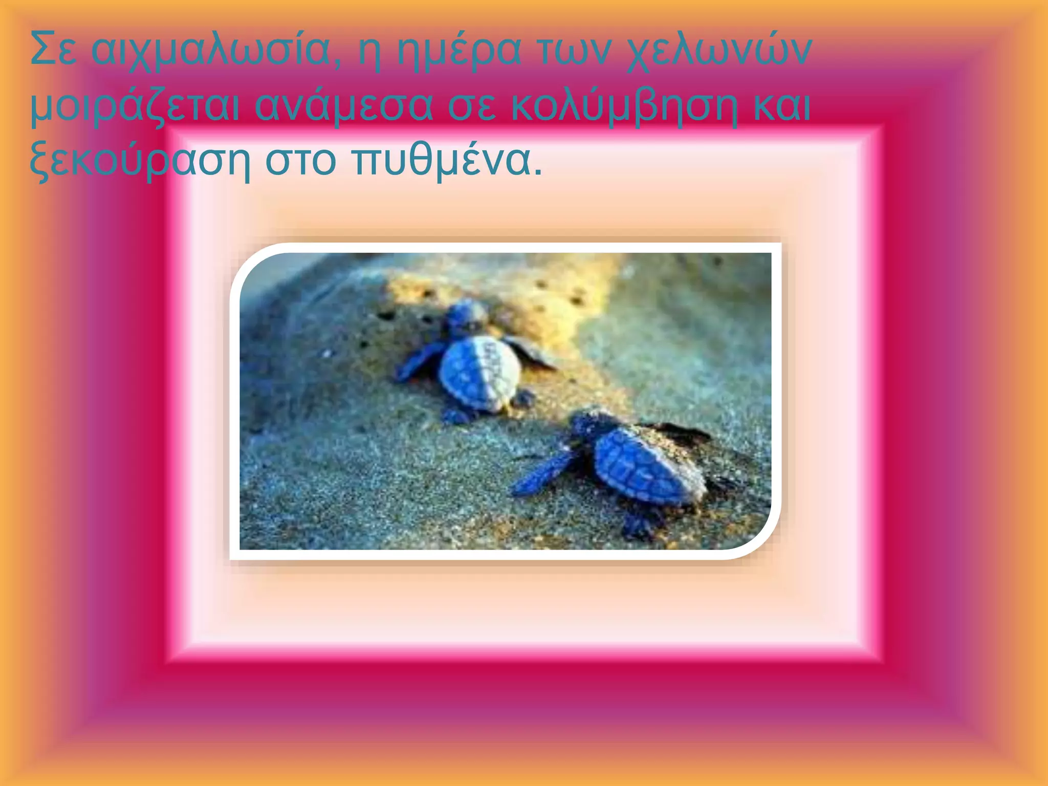 Σε αιχμαλωσία, η ημέρα των χελωνών
μοιράζεται ανάμεσα σε κολύμβηση και
ξεκούραση στο πυθμένα.
 