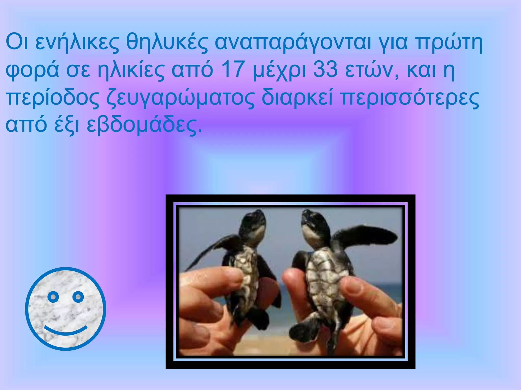 Οι ενήλικες θηλυκές αναπαράγονται για πρώτη
φορά σε ηλικίες από 17 μέχρι 33 ετών, και η
περίοδος ζευγαρώματος διαρκεί περισσότερες
από έξι εβδομάδες.
 