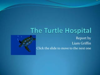 The Turtle Hospital Report by Liam Griffin Click the slide to move to the next one 