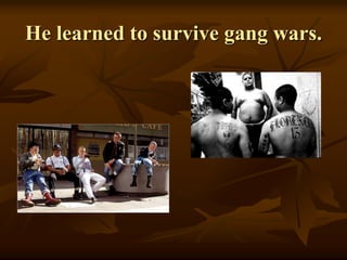 He learned to survive gang wars.
 