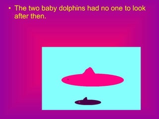 The two baby dolphins had no one to look after then. 