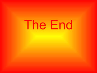 The End 