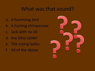 What was that sound?
a.   A humming bird
b.   A hurting chimpanzee
c.   Jack with no Jill
d.   Itsy bitsy spider
e.   The crying ladies
f.   All of the above
 
