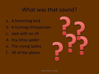 What was that sound?
a.   A humming bird
b.   A hurting chimpanzee
c.   Jack with no Jill
d.   Itsy bitsy spider
e.   The crying ladies
f.   All of the above


                    ignatius joseph n estroga
 