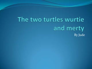 The two turtles wurtie and merty By Jude 