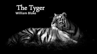 The TygerWilliam Blake
 