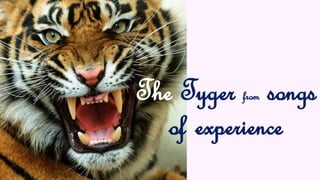 The Tyger from songs 
of experience 
 