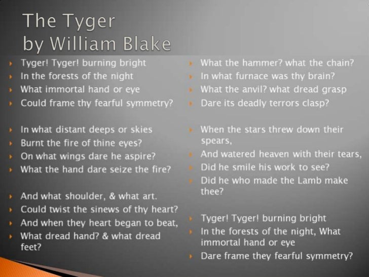 the cycle of questioning in the tyger by william blake In the poem, the tyger, william blake uses metaphors, symbols, and rhetorical questions to ponder the motive of a creator to add depth in a poem, the use of metaphors is effective. the cycle of questioning in the tyger by william blake In the poem, the tyger, william blake uses metaphors, symbols, and rhetorical questions to ponder the motive of a creator to add depth in a poem, the use of metaphors is effective.