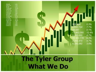 The Tyler Group
  What We Do
 