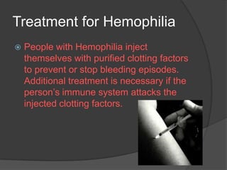 Treatment for HemophiliaPeople with Hemophilia inject themselves with purified clotting factors to prevent or stop bleeding episodes.  Additional treatment is necessary if the person’s immune system attacks the injected clotting factors.  