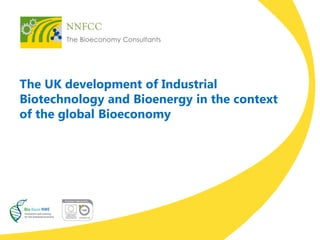The UK development of Industrial Biotechnology and Bioenergy in the context of the global Bioeconomy  