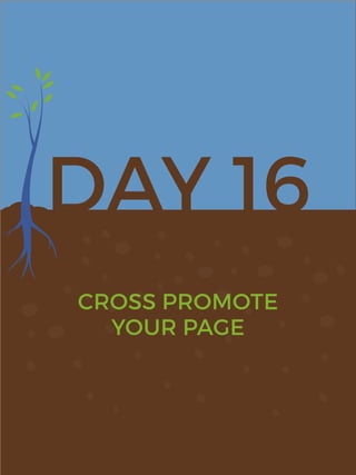 DAY 16
CROSS PROMOTE
YOUR PAGE
 