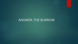 ANSWER: THE BURROW
 